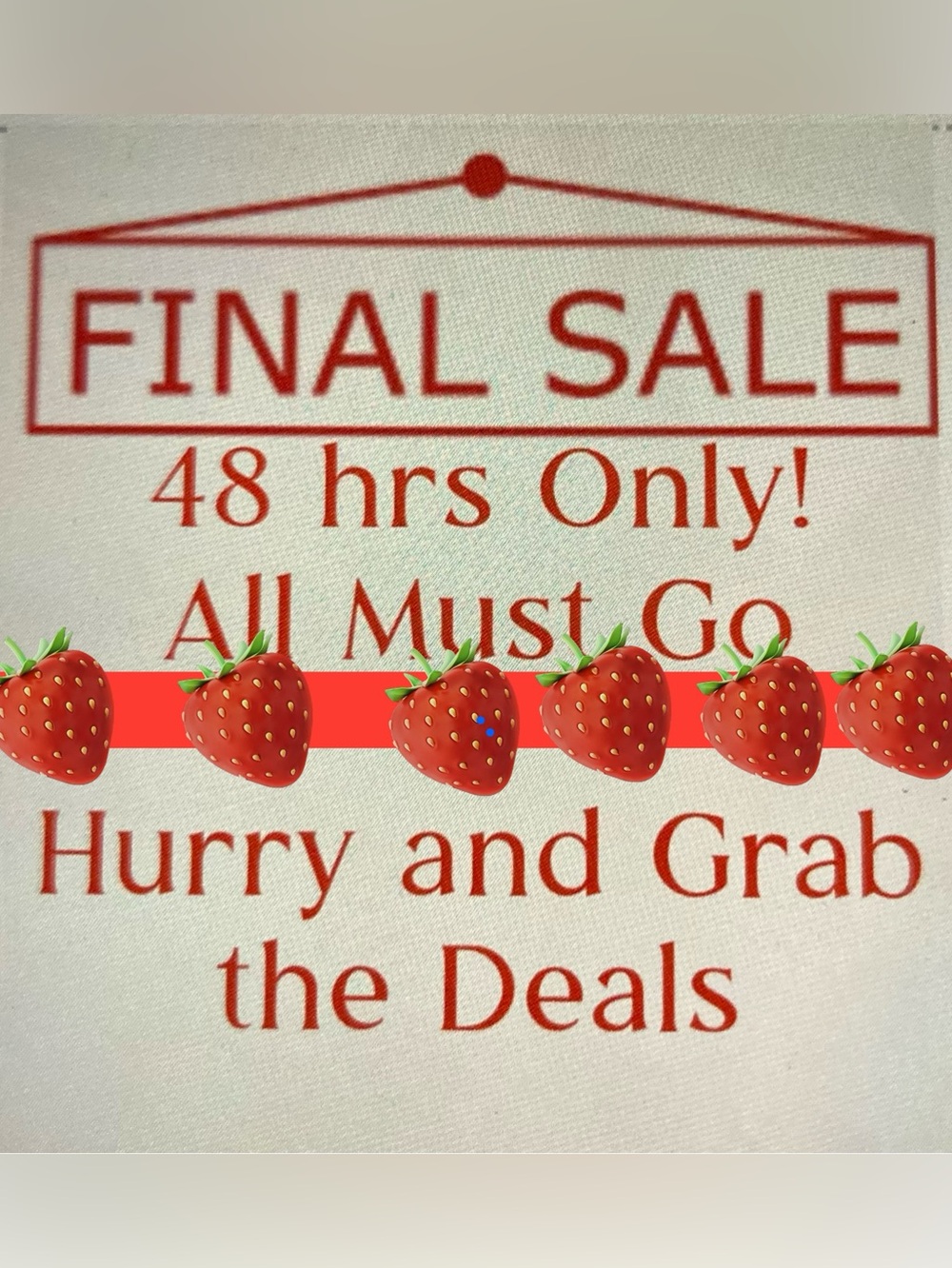 💗Extended💗 Final Sale - Grab while you can!